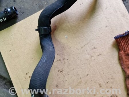 ФОТО Патрубок для Audi (Ауди) Q5 I 8R (08-17) Київ