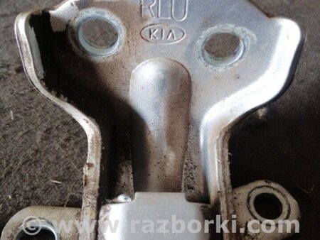 ФОТО Петля двери для KIA Sorento 1 BL (02-09) Київ