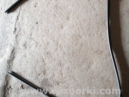 ФОТО Уплотнитель задний правый для Subaru Tribeca B9 (05-08) Київ