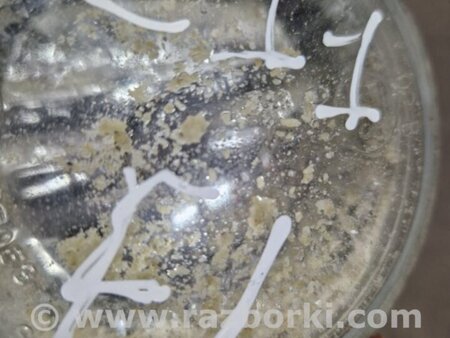 ФОТО Противотуманная фара левая для Subaru Legacy IV BL/BP (03-09) Київ