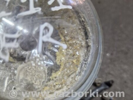 ФОТО Противотуманная фара правая для Subaru Legacy IV BL/BP (03-09) Київ