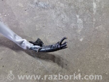 ФОТО Плафон освещения основной для Subaru Legacy IV BL/BP (03-09) Київ