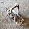 ФОТО Петля замка передняя для Subaru Legacy IV BL/BP (03-09) Київ