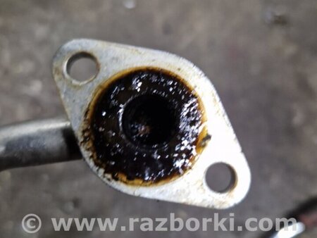 ФОТО Трубка EGR для Subaru Legacy IV BL/BP (03-09) Київ