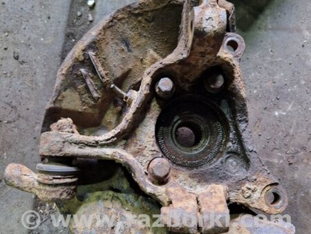 ФОТО Цапфа передняя правая для Subaru Legacy IV BL/BP (03-09) Київ