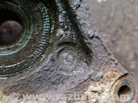 ФОТО Цапфа передняя правая для Subaru Legacy IV BL/BP (03-09) Київ