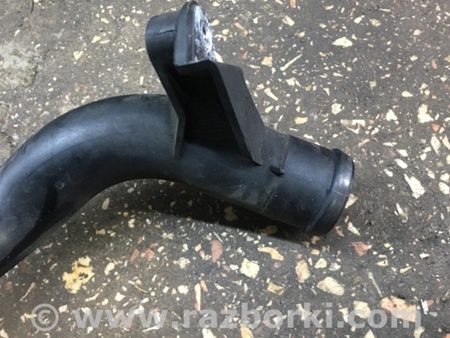 ФОТО Трубка системы охлаждения для Audi (Ауди) A4 IV B8 8K (07-15) Київ