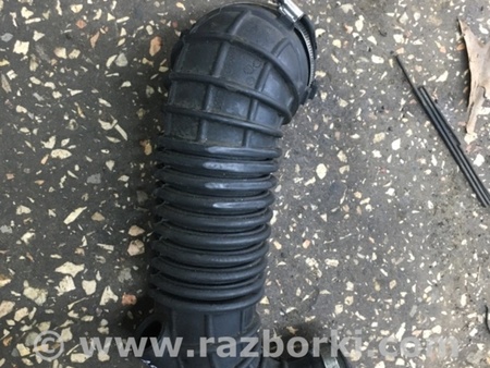 ФОТО Патрубок для Audi (Ауди) A4 IV B8 8K (07-15) Київ