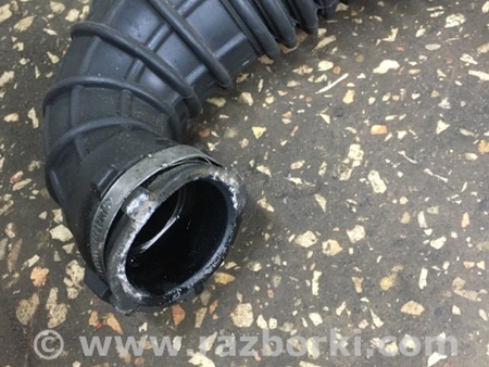 ФОТО Патрубок для Audi (Ауди) A4 IV B8 8K (07-15) Київ