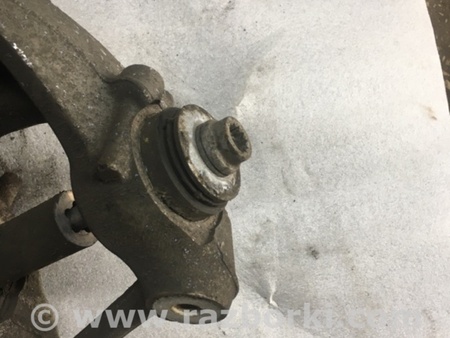 ФОТО Цапфа задняя для Audi (Ауди) A4 IV B8 8K (07-15) Київ