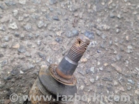 ФОТО Рычаг задний правый для KIA Sorento 2 XM (09-14) Київ