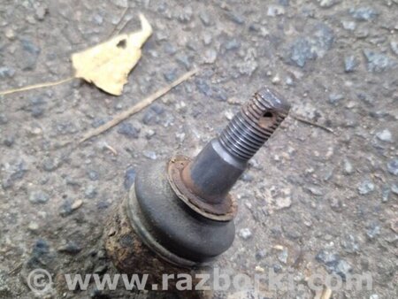 ФОТО Рычаг задний левый для KIA Sorento 2 XM (09-14) Київ