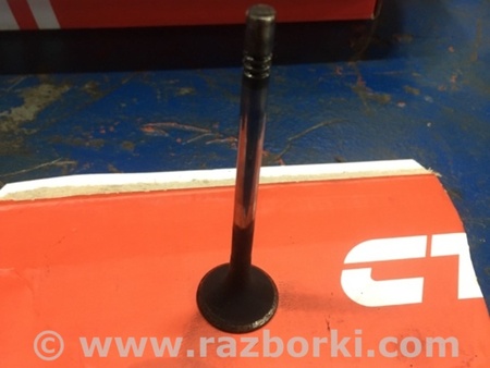 ФОТО Клапан выпускной для Audi (Ауди) A4 IV B8 8K (07-15) Київ