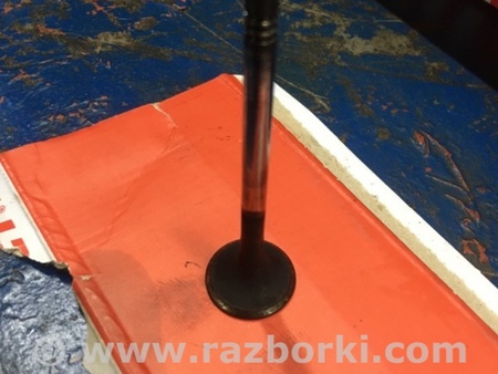 ФОТО Клапан выпускной для Audi (Ауди) A4 IV B8 8K (07-15) Київ