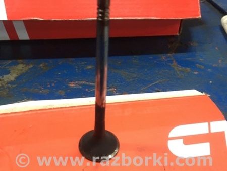 ФОТО Клапан выпускной для Audi (Ауди) A4 IV B8 8K (07-15) Київ