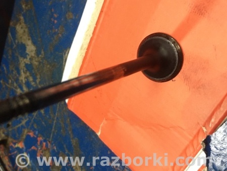 ФОТО Клапан выпускной для Audi (Ауди) A4 IV B8 8K (07-15) Київ