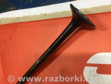 ФОТО Клапан выпускной для Audi (Ауди) A4 IV B8 8K (07-15) Київ