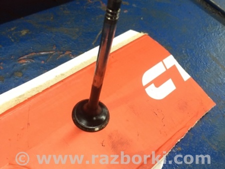 ФОТО Клапан выпускной для Audi (Ауди) A4 IV B8 8K (07-15) Київ