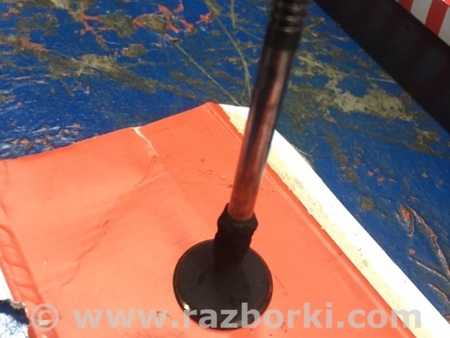 ФОТО Клапан впускной для Audi (Ауди) A4 IV B8 8K (07-15) Київ