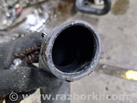 ФОТО Патрубок для Subaru Legacy IV BL/BP (03-09) Київ