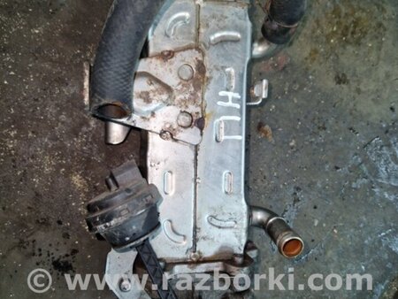 ФОТО Охладитель для Hyundai ix35 I LM/EL Tucson (10-17) Київ