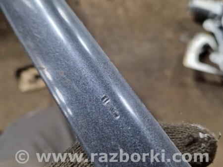 ФОТО Молдинг на дверь передний левый для Subaru Legacy IV BL/BP (03-09) Київ