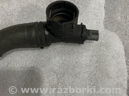 ФОТО Патрубок системы охлаждения для Audi (Ауди) A3 8V1, 8VA, 8V7, 8VS (03.2012-...) Киев