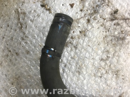 ФОТО Патрубок Радиатора правый для Subaru Forester SJ S13 (12-18) Київ