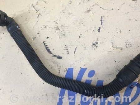 ФОТО Патрубок для Audi (Ауди) A6 C7 4G (11-18) Київ