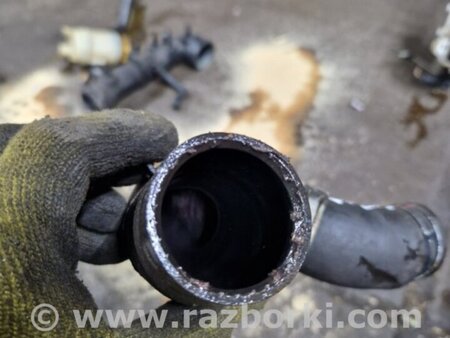 ФОТО Патрубок для Subaru Forester SG S11 (02-08) Київ