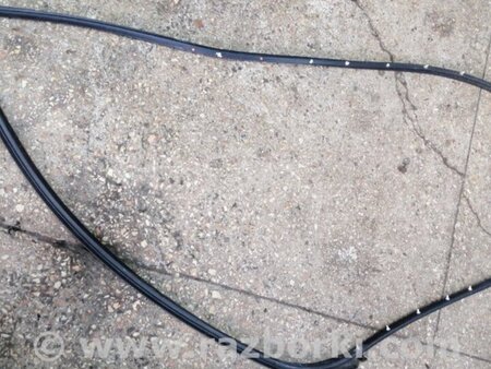 ФОТО Уплотнительная резинка передняя левая для Hyundai ix35 I LM/EL Tucson (10-17) Київ