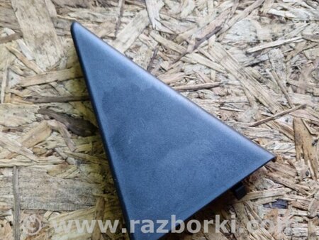 ФОТО Накладка на дверь задняя левая для Hyundai Santa Fe III DM/NC (12-18) Київ