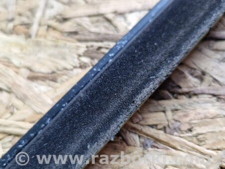 ФОТО Молдинг на дверь задний левый для Hyundai Santa Fe III DM/NC (12-18) Київ