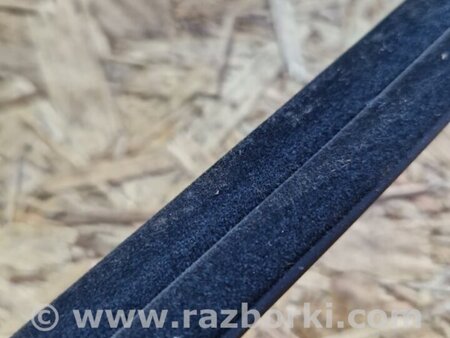 ФОТО Молдинг на дверь задний левый для Hyundai Santa Fe III DM/NC (12-18) Київ