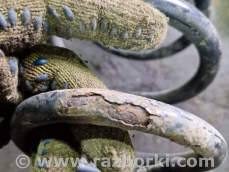 ФОТО Пружина задняя для Hyundai Santa Fe III DM/NC (12-18) Київ