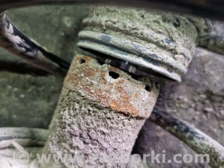 ФОТО Амортизатор задний для Subaru Forester SG S11 (02-08) Київ