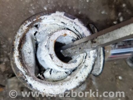 ФОТО Амортизатор задний для Hyundai Santa Fe III DM/NC (12-18) Київ