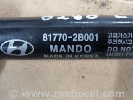 ФОТО Амортизатор багажника задний левый для Hyundai Santa Fe II CM (06-12) Київ