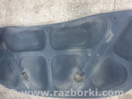 ФОТО Обшивка капота для Hyundai Santa Fe II CM (06-12) Київ