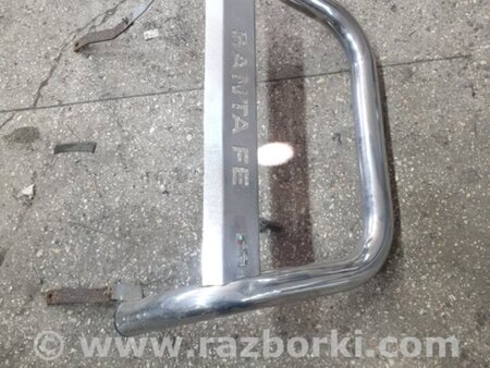 ФОТО Кенгурин для Hyundai Santa Fe II CM (06-12) Київ