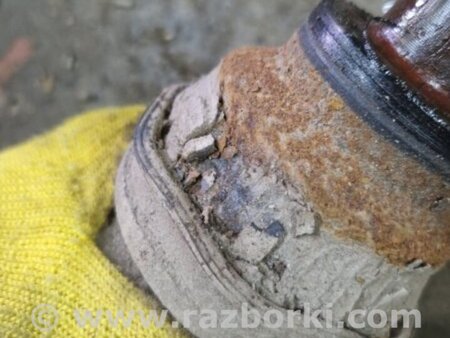 ФОТО Привод задний левый для Subaru Forester SG S11 (02-08) Київ