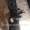 ФОТО Балка подвески для Subaru Legacy (все модели) Киев