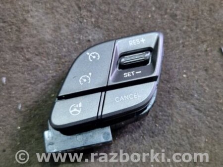 ФОТО Кнопки руля для Hyundai Santa Fe III DM/NC (12-18) Київ