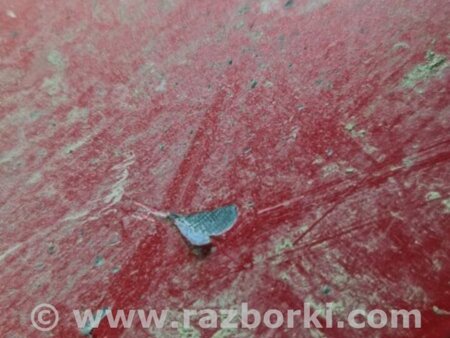 ФОТО Накладка на дверь передняя правая для Subaru Forester SG S11 (02-08) Київ