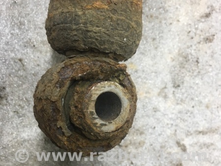 ФОТО Амортизатор задний для Subaru Legacy IV BL/BP (03-09) Київ