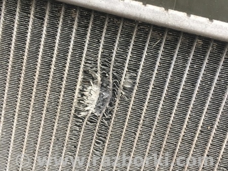 ФОТО Радиатор основной для Subaru Legacy IV BL/BP (03-09) Київ