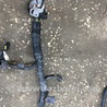 ФОТО Проводка для Subaru Legacy IV BL/BP (03-09) Київ