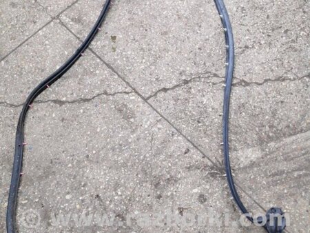 ФОТО Уплотнительная резинка задняя правая для Subaru Forester SG S11 (02-08) Київ