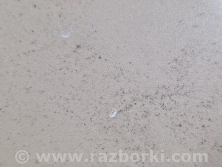 ФОТО Плафон освещения основной для Subaru Forester SG S11 (02-08) Київ