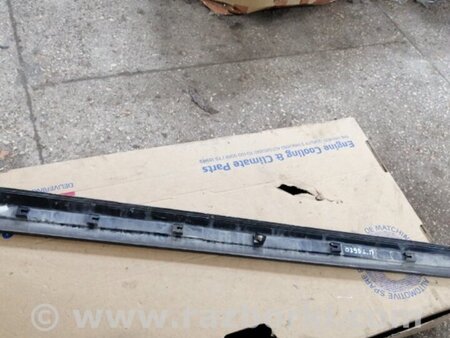 ФОТО Накладка на дверь передняя левая для Hyundai Santa Fe II CM (06-12) Київ